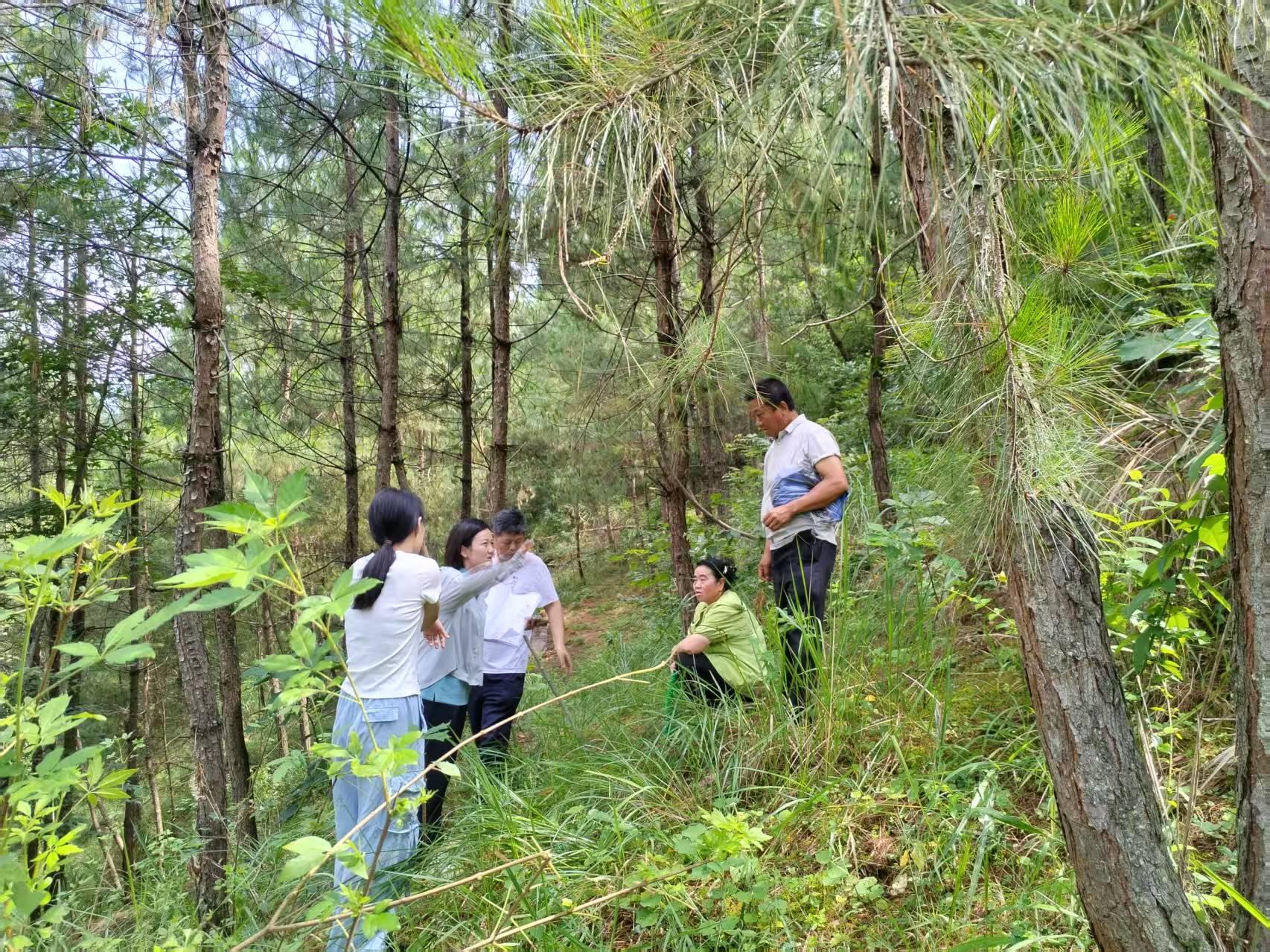 图2 行政复议工作人员到基层办案现场.jpg 图2 行政复议工作人员到基层办案现场.jpg