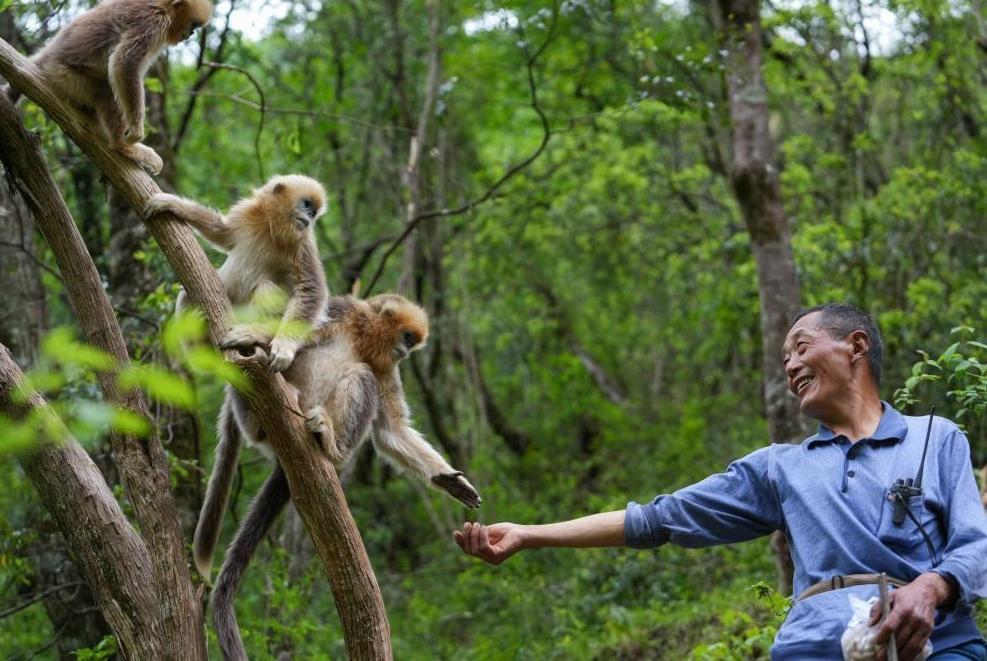 首次立法！国家公园筑起“法治屏障”