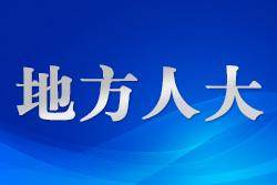 广西人大：让中国民主故事走出国门