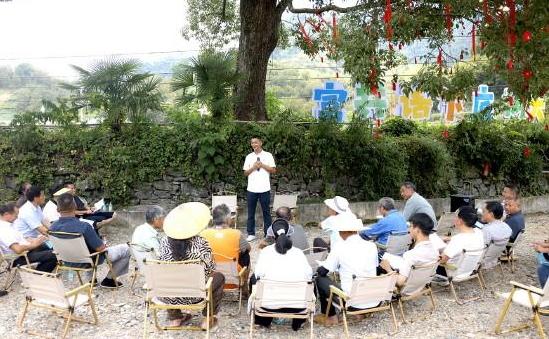 古樟风铃系民生
