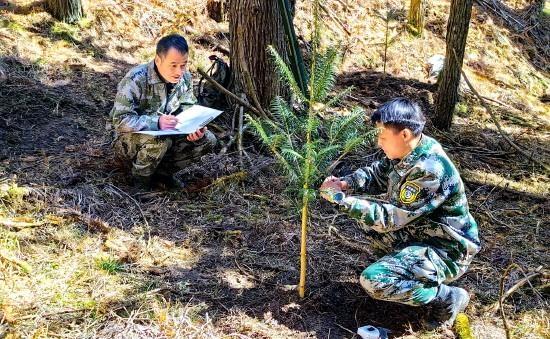 以法治之力守护绿水青山 ​丽水人大谱写生态履职答卷