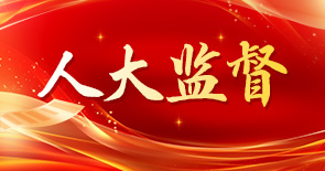 人大监督