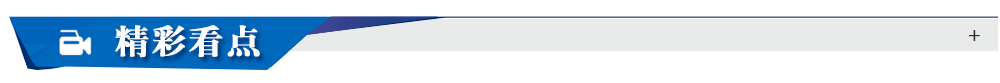 精彩看点