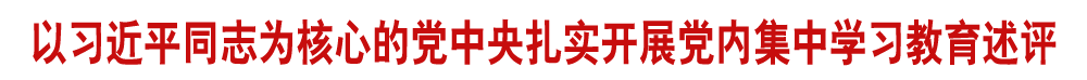 以习近平同志为核心的党中央扎实开展党内集中学习教育述评